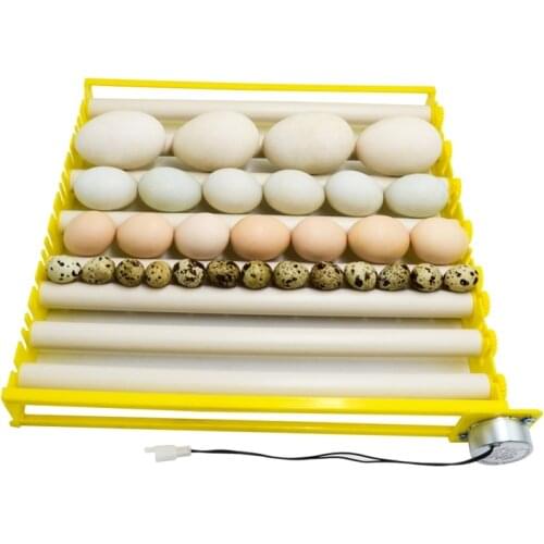 Automatic Rotary Egg Turner Roller Tray Duck Quail Bird Poultry Eggs Incubator Dropship