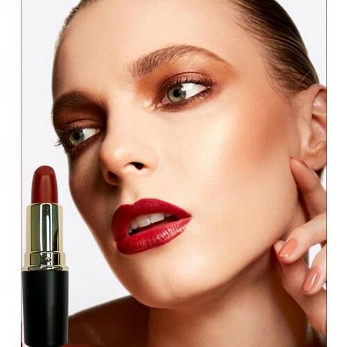 Black Tube Lipstick Waterproof Nude Beauty Long Lasting Cosmetics Private Label Makeup