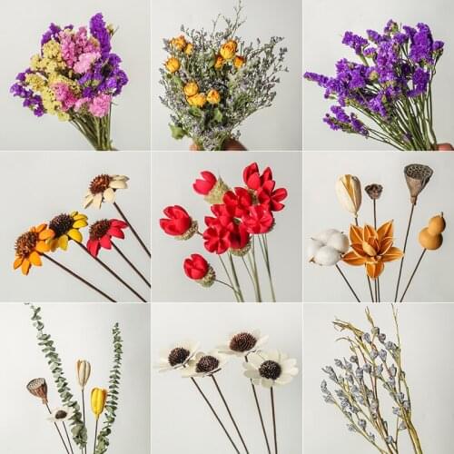 Cotton Dried Flower Shooting Props Net Celebrity Ins Apartment Decoration Kapok