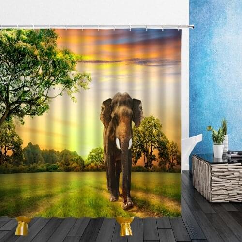 Animal Shower Curtains Wild Polar Bear Lion Giraffe Pattern 3D Waterproof Polyester Cloth Bathroom Decor Curtains With Hooks