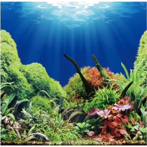 Uaibuying Decorations For Aquariums