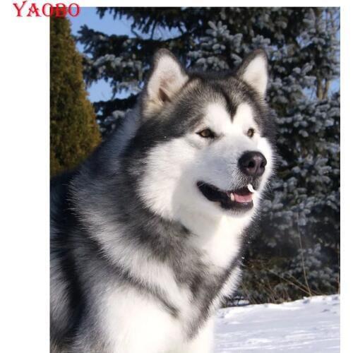 Full Square Round Drill Diamond painting Alaskan Malamute DIY 5D Diamond mosaic Diamond embroidery animal dog Cross stitch kits