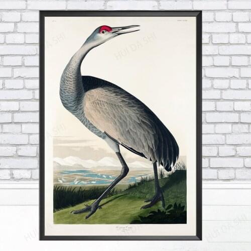 Hooping Crane from Birds of America by John James Audubon, Bird Poster Print, Vintage Bird Print - Wall art poster print