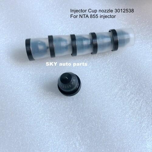 Injector oil cup nozzle 3012538 For NTA855 Injector (6pcs)