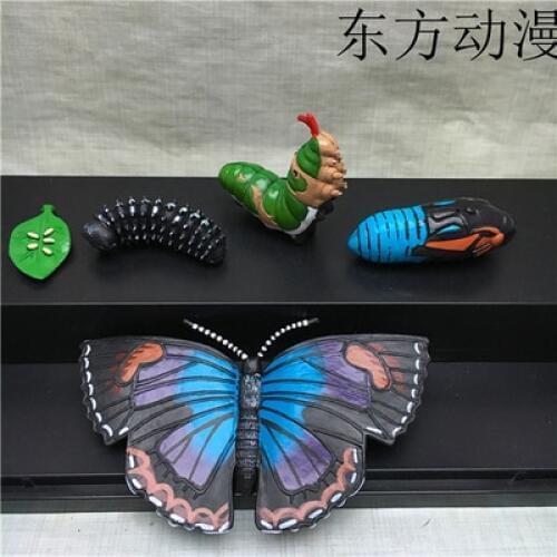 Pvc figure Genuine simulation model toy butterfly life cycle 5PCS/ set