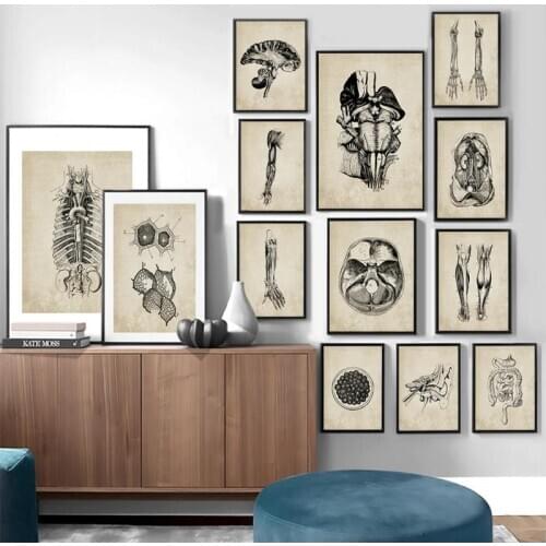 Retro Vintage Poster Anatomical Skeleton Human Body Picture Wall Art Print Canvas Painting Home Hospital Wall Decoration NoFrame