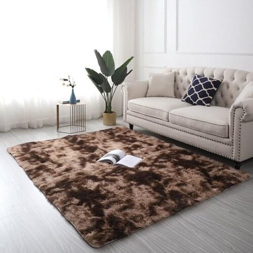 Fluffy Carpets for Living Room Area Rugs Bedroom Decor Carpet Soft Rug Home Thicken Mat Long Velvet Mats
