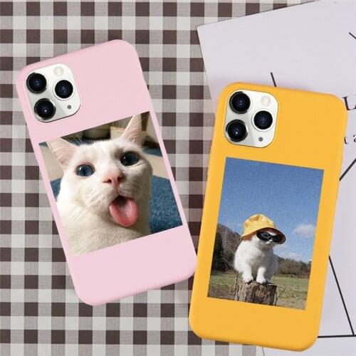 JAMULAR Cute Cat Phone Case For iPhone XS MAX 7 11 Pro 12 X SE 20 X XR 6 8Plus Lovely Candy Color Soft Silicone Cover Fundas Bag