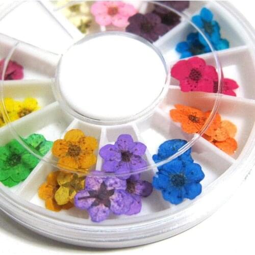 Manicure 12 Color 3D Real Dried Flowers UV Gel Acrylic Nail DIY Art Tips Decor