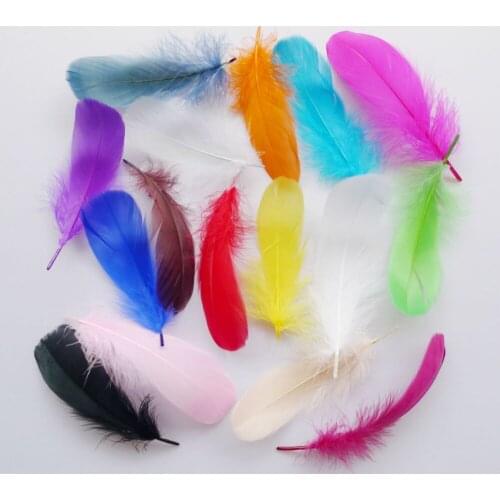 20 / 50 / 100 pcs 12-20cm 16 Colors Goose Feather Wedding decoration DIY Craft plumage material accessories plume
