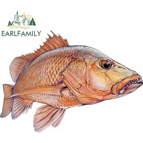 EARLFAMILY 13cm x 9.4cm for Mangrove Jack Fish Auto Car Stickers Personality VAN Motorcycle Laptop Vinyl Decal Car Wrap Decor