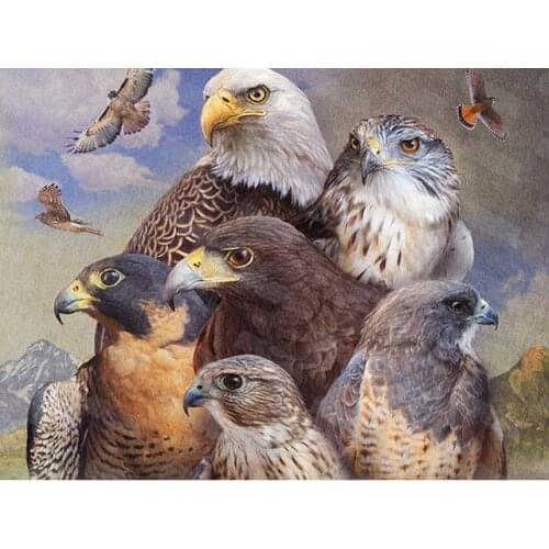 Diy Diamond Painting Animals World Birds Birds Ferocious Eagle Cute Birds Yellow Feathers Pet Birds Niche Hanging Painting