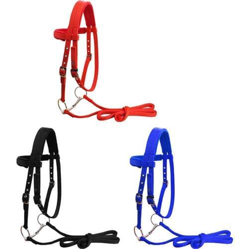 Horse Bridle Horse Rein Headstall Thickened Halter Equestrian Accessories Removable Snaffle Nylon Webbing Horse Riding Equipment