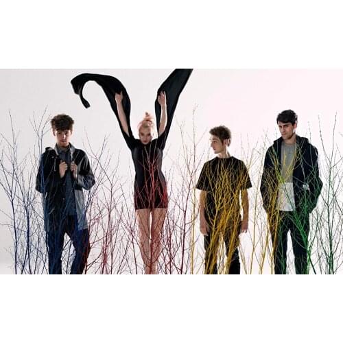 Clean Bandit British band 3 Silk Fabric Wall Poster Art Decor Sticker Bright