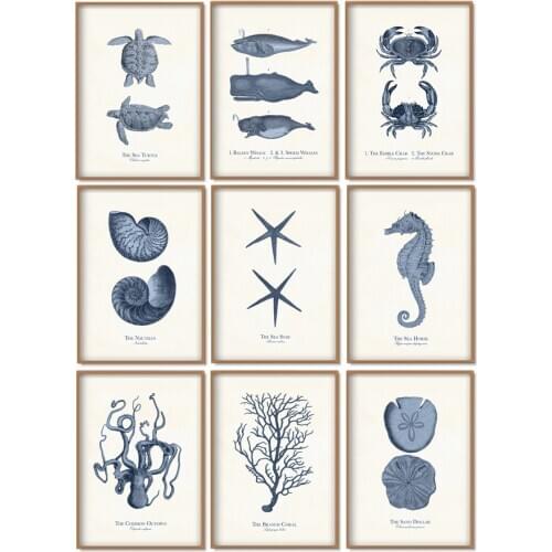 Fossil Fish Turtle Snail Star Tree Vintage Wall Art Canvas Painting Nordic Posters And Print Wall Pictures For Living Room Decor