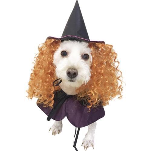 2018 New Design Dog Costumes Halloween Purple Wizard Funny Dog Clothes with Curly Hair Hat Cosplay Dog Costume for Pet Dog Gift