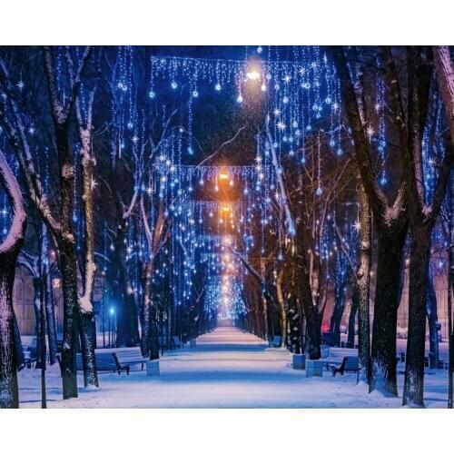 String Lights on Trees in Winter Street Backdrop Baby Shower Party Birthday Room Decor Photo Booth Studio Prop