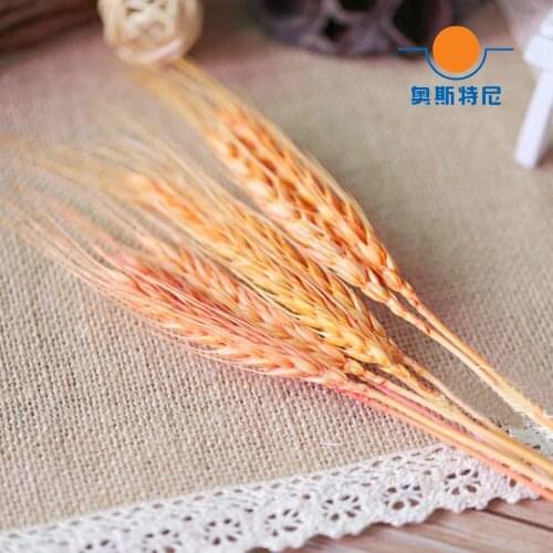 100pc natural dried flower bouquets natural orange color dried ear of wheat bouquets&wheat ear Bunches