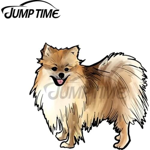 JumpTime 13 x 3.4cm For Pomeranian Dog Car Assessoires Stickers Personality Truck 3D Decal Air Conditioner Car Door Decor