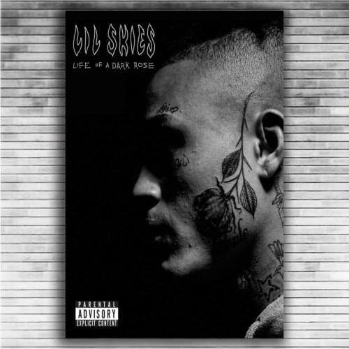 Lil Skies Rap Hip Hop Music Star Singer 3 Silk Fabric Wall Poster Art Decor Sticker Bright