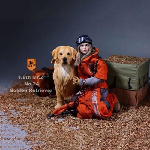 1:6 Scale Mr.Z No.24 Resin PVC Miniature Animal Model Golden Retriever Dog Model Toy fit 12" Action Figure Toys Accessories