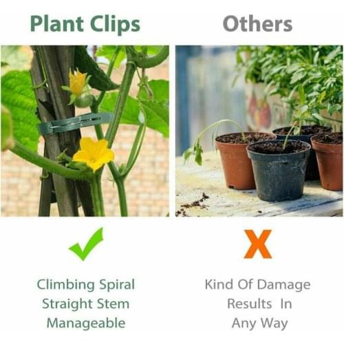 20PCS GARDEN PLANT CLIPS Tomato Tie Stem Orchid Support Weatherproof Grow Training Spring-Loaded Garden Plant And Flower Support