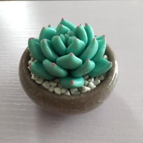 3D More meat plant pots stone Silicone molds soap mold silicone soap molds silica gel die Aroma stone moulds candle mould