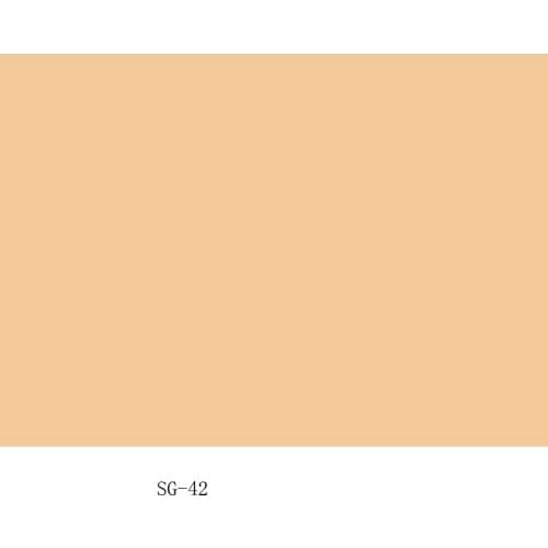 Vinyl Custom Photography Backdrops Props Solid single simple Theme Photo Studio Background 210215 SG-3108