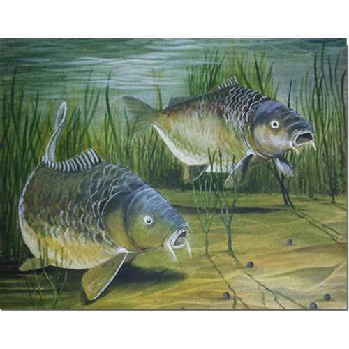 Big Carp Painting hobby Diamond embroidery fish art mosaic diamond painting Pictures of rhinestones Cross-stitch kits FS91