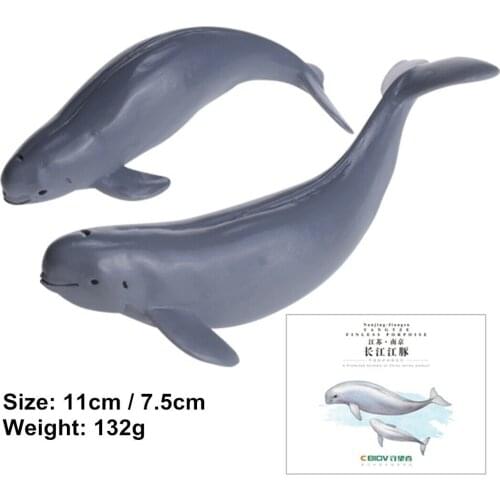 CBIOV Yangtze Finless Porpoise Figure Endangered Ocean Animal Collector Model China Original Series Decoration Gift for Adult
