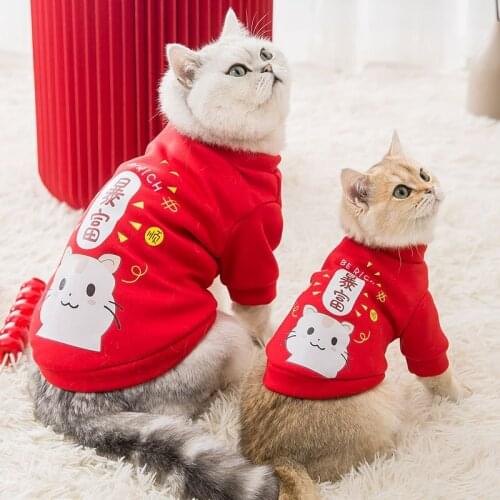 Dog Dress Clothes Summer Thin Skirt Cat Cute Princess Pettiskirt Rabbit Teddy Bichon Snow White Pet Party Festival Vestidos