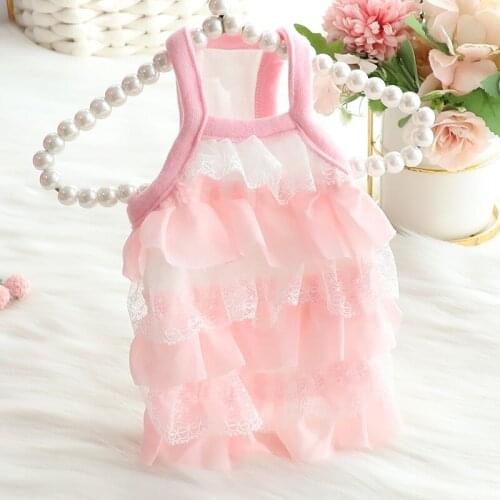Princess Dress Pet Dog Clothes Lace Skirt Clothing Dogs Small Costume Breathable Cute Thin Chihuahua Summer Pink Girl Mascotas