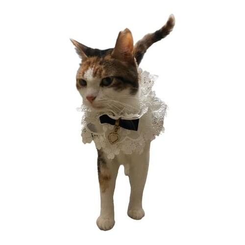 FNG FASHION Clothes For Cats