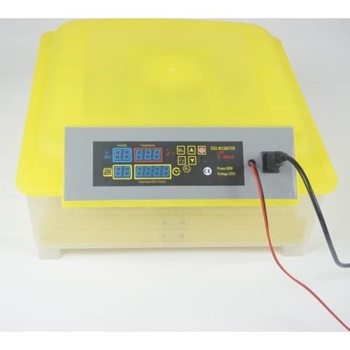 Automatic Egg Incubators China Fully Hatchery Machine Mini 48 Chicken Sale Auto Turn For Duck Pigeon Quail Parrot