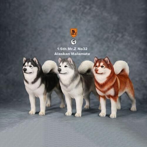 Mr.Z 1/6 Scale Simulation Animal dog Alaskan Malamute Model Kids Toys Gift Model F 12" Action Figure Scene Car Decoration