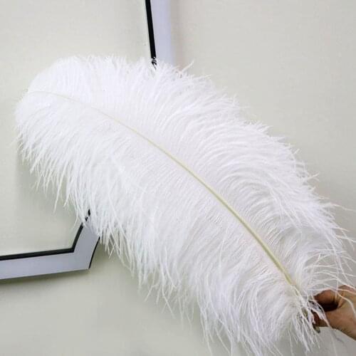 10Pcs White Crafts Feathers DIY Natural Ostrich Feather Plume Jewelry Making Wedding Party Christmas Plumas Decoration 15-70CM
