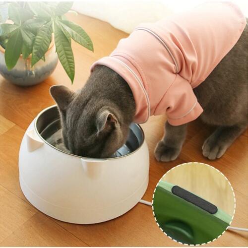 21cm Non-slip Cats Bowls With Raised Stand Pet Food Water Bowl For Cats Dogs Feeders Bowl Pet Supplies H1 .x x