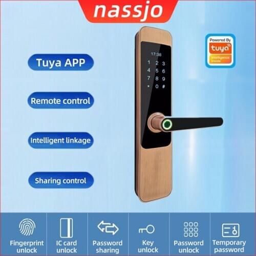 Nassjo Tuya Biometric Fingerprint Lock Security Intelligent Smart Lock Hotels With WiFi APP Password RFID Door Lock Electronic