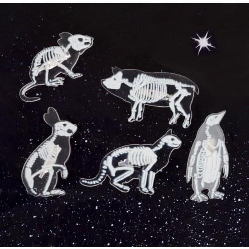 Best seller high quality resin transparent pig cat penguin rabbit animal resin brooch for female and male