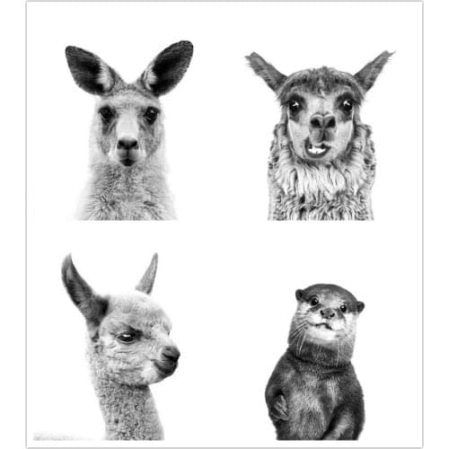 5D DIY Black and White Kangaroo Alpaca Sheep Otter Lazy Diamond Embroidery Square Round Diamond Mosaic Childrens Room Decoratio