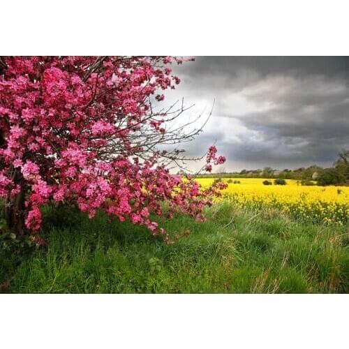 Spring blossom background vinyl fotografia baby outdoor shooting photography backdrops for photo studio props photophone lv-1554