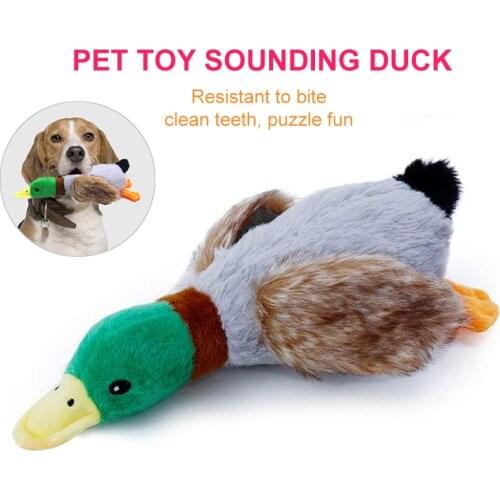 Pet Toy Plush Vocal Duck Dog 28cm Simulation Wild Duck Pet Supplies Sound Plush Dog Cleaning Biting Interactive Rope