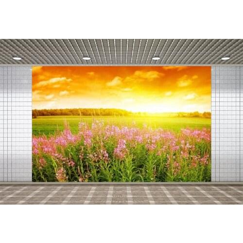 Lyavshi Season Summer Scenic Sunrise Photography Backdrops Vinyl Photographic Background Photo Studio Decoration Props