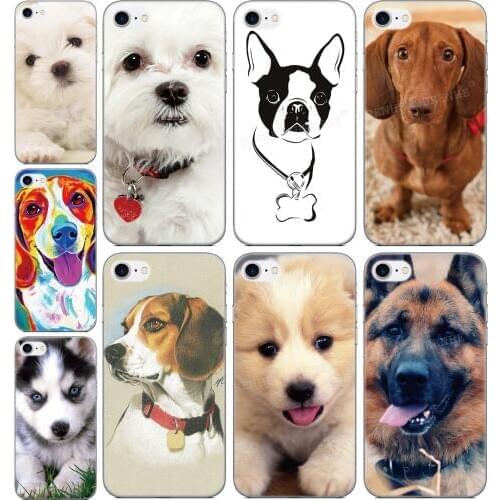 Soft Silicone Pet dog Phone Case For OPPO Find X2 Pro A9 A8 A5 A31 2020 A91 AX5S Realme 5 6 X50 Reno A 3 Pro A52 A72 Back Cover