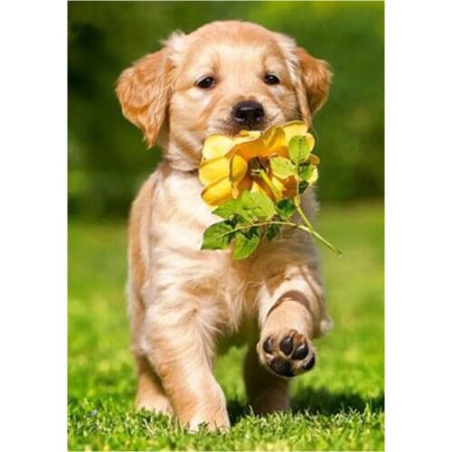 Animal dog pattern 5D DIY full diamond cross stitch diamond mosaic home decoration