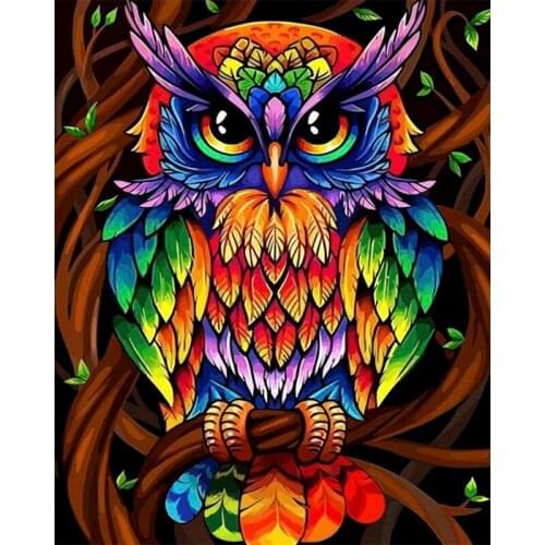 Owl Oil Painting By Number Animal Colorful DIY Kits For Adults Drawing Frame On Canvas Paint Coloring By Number Home Decoration