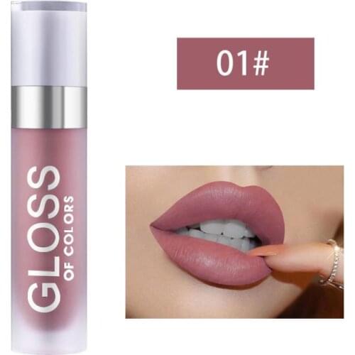 Matte Lip Gloss Lip Makeup 14 Colors Velet Waterproof Lipgloss Matte Lipstick Liquid Lipstick Long Lasting Lip Tint TSLM1