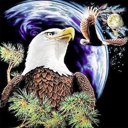 Bald Eagle Planet Diamond Painting Round Full Drill Nouveaute DIY Mosaic Embroidery 5D Cross Stitch Animal Pattern