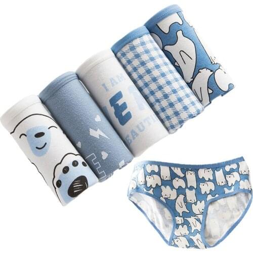 5Pcs Panties Womens Underwear Print Animal Briefs Cotton Seamless Cueca Calcinhas Shorts Underpants Girls Cute Panty Cartoon