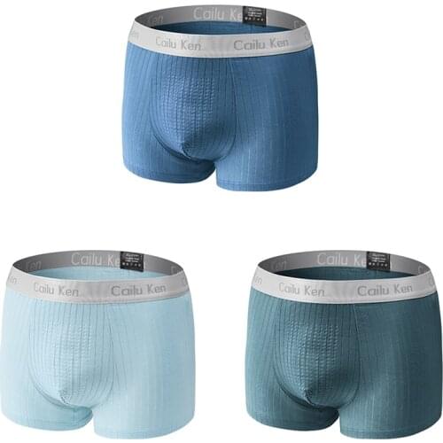 Mens Panties Boxers Modal Man Underwear 2021 Boxershorts Men Brand High Quality Underwear Men Underpants Male Boxer 3PCS